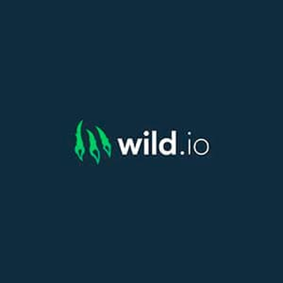 Wild.io Casino: До 200% бонус + 300 спинов, предложение для второго депозита logo